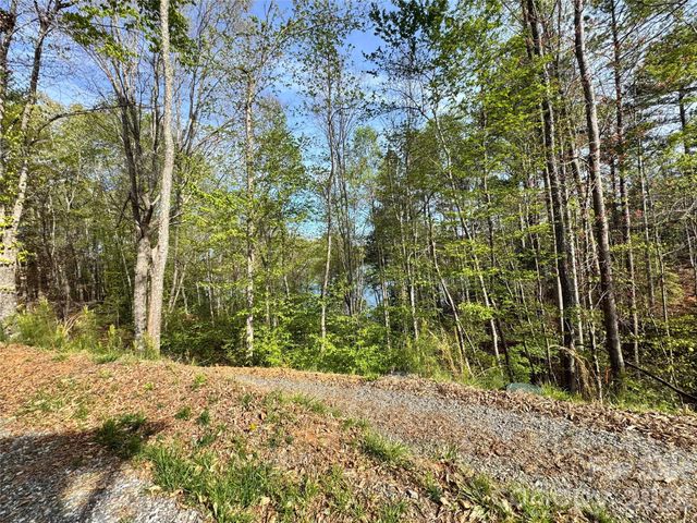 2371 W Paradise Harbor Drive, Connelly Springs, NC 28612