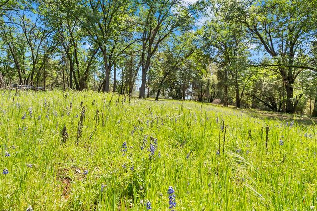 19461 Fiddletown Rd, Fiddletown, CA 95629