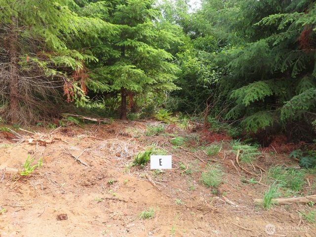 0 Lot G Mill Creek Lane, Longview, WA 98632