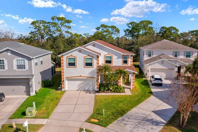 12402 RUSTIC VIEW COURT, Tampa, FL 33635