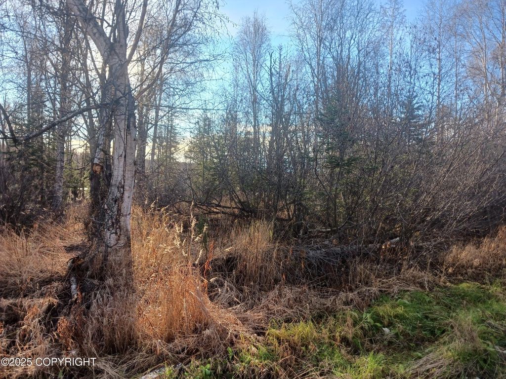 NHN- Lot 2 S Gon Fishin Drive, Wasilla, AK 99623