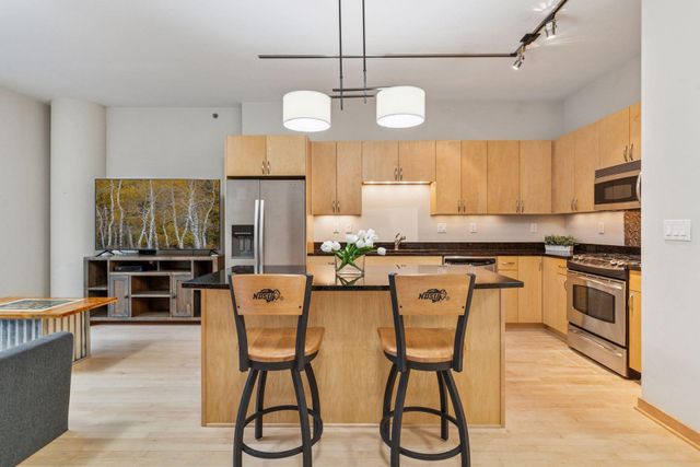 215 10th Avenue S 533, Minneapolis, MN 55415