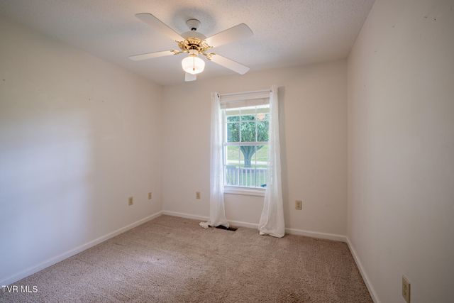 1520 Ripley Island Road, Afton, TN 37616