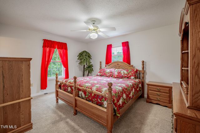 1520 Ripley Island Road, Afton, TN 37616