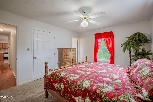 1520 Ripley Island Road, Afton, TN 37616
