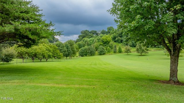 1520 Ripley Island Road, Afton, TN 37616