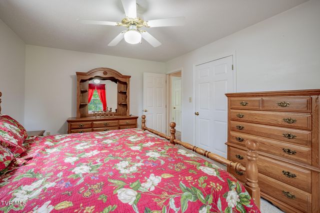 1520 Ripley Island Road, Afton, TN 37616