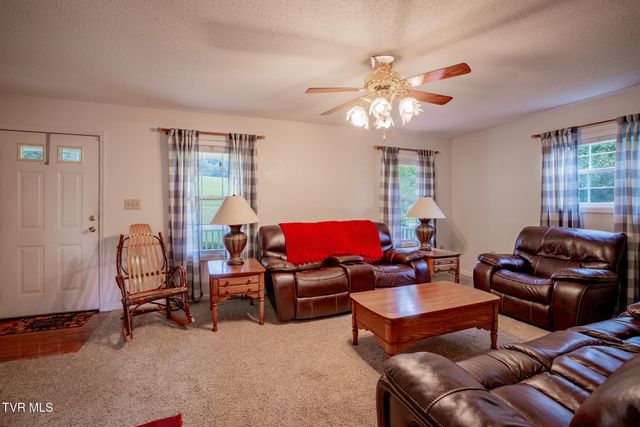 1520 Ripley Island Road, Afton, TN 37616