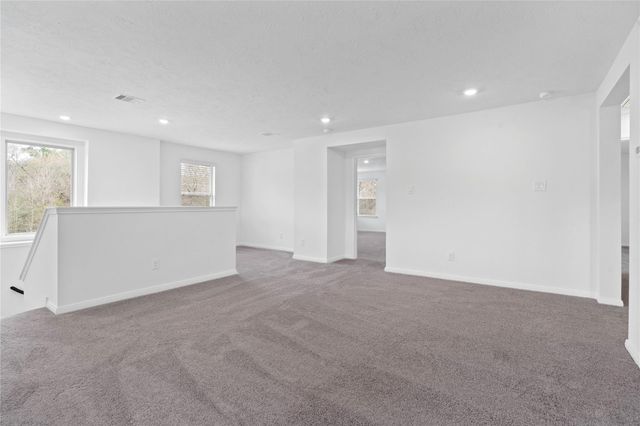 710 Appaloosa Meadow Drive, Magnolia, TX 77354