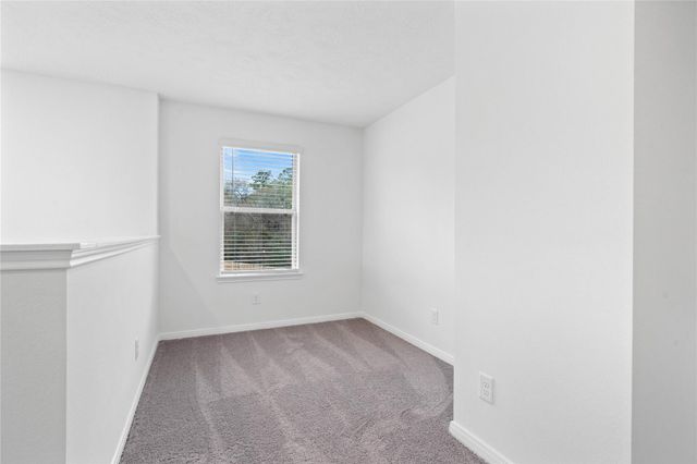 710 Appaloosa Meadow Drive, Magnolia, TX 77354