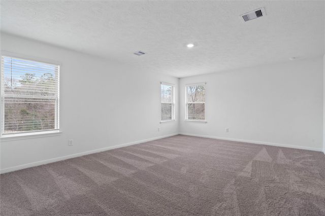 710 Appaloosa Meadow Drive, Magnolia, TX 77354