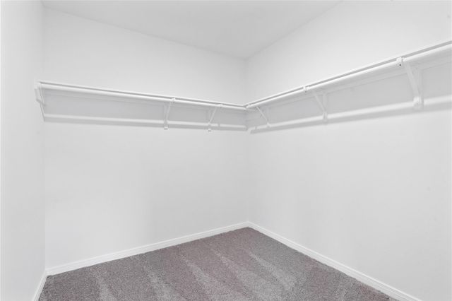 710 Appaloosa Meadow Drive, Magnolia, TX 77354