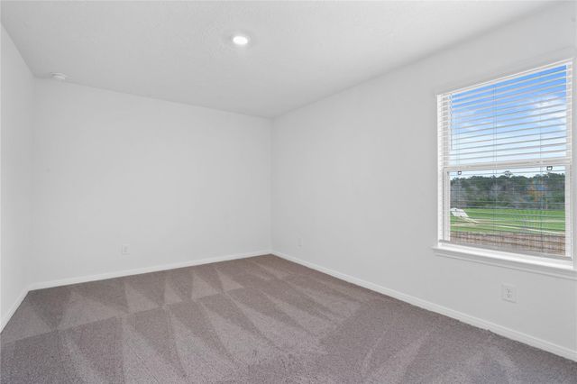 710 Appaloosa Meadow Drive, Magnolia, TX 77354