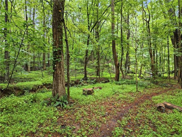 135 Laurel Ridge Drive, Alpharetta, GA 30004