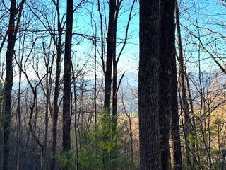 7.0 ac Laurel Drive, Marble, NC 28905