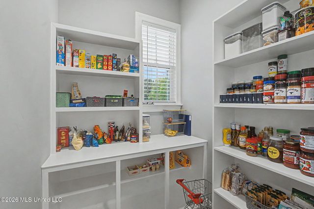 5042 Sophia Lane, Hernando, MS 38632