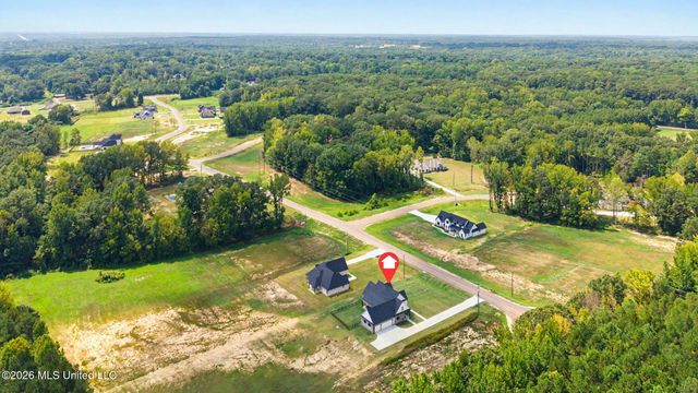 5042 Sophia Lane, Hernando, MS 38632