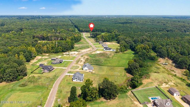 5042 Sophia Lane, Hernando, MS 38632