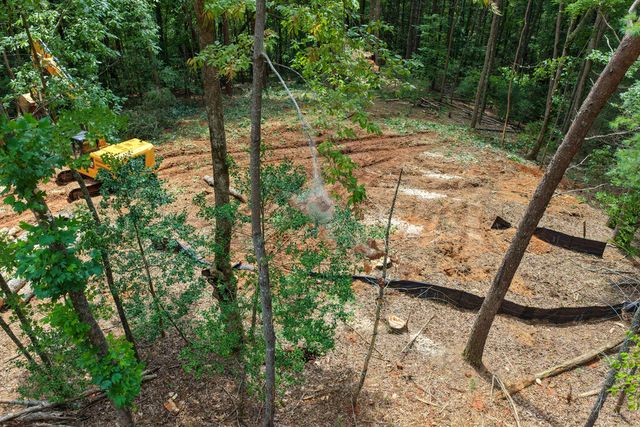 Lot 3 Clay's Way, Fannin, GA 30522