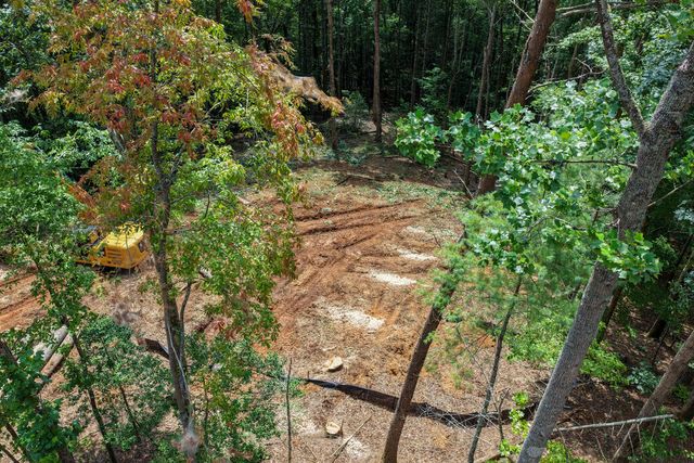 Lot 3 Clay's Way, Fannin, GA 30522