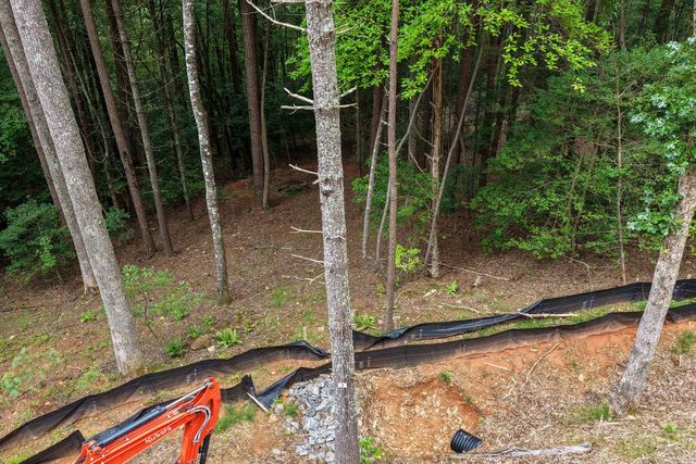 Lot 3 Clay's Way, Fannin, GA 30522
