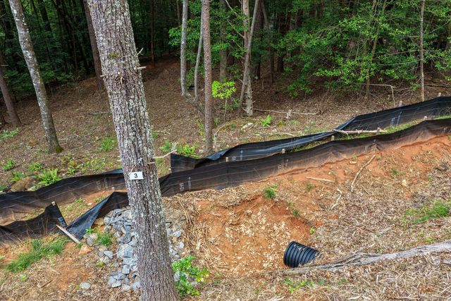 Lot 3 Clay's Way, Fannin, GA 30522