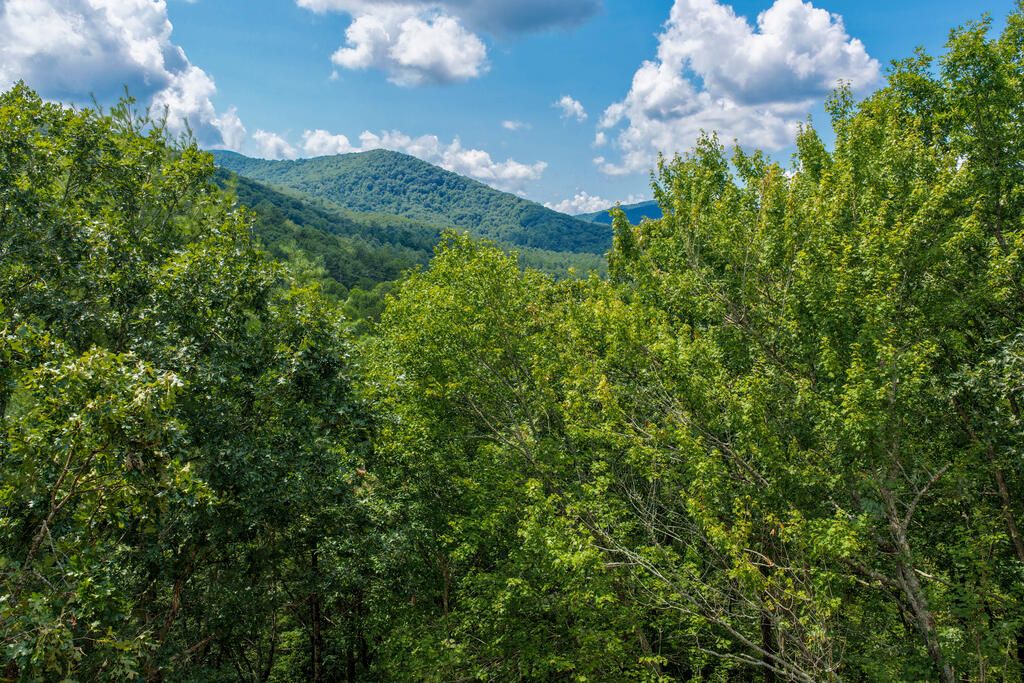 Lot 3 Clay's Way, Fannin, GA 30522