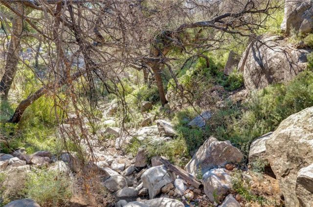 2 Decker Canyon Road, Ortega Mountain, CA 92530