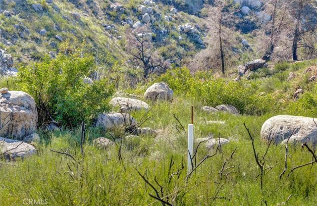 2 Decker Canyon Road, Ortega Mountain, CA 92530