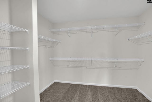 339 Caballeros Trail, Prosperity, SC 29127