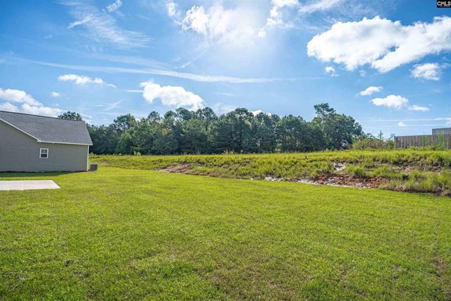 339 Caballeros Trail, Prosperity, SC 29127