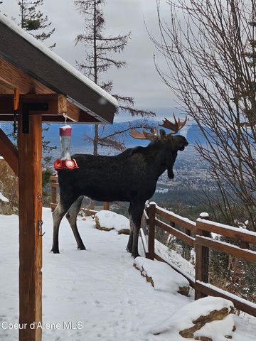 12251 W Blessing Hill RD, Post Falls, ID 83854