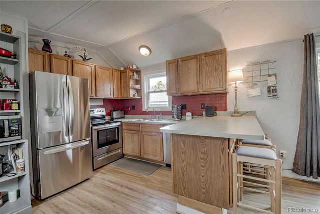 56 Magnum Bonum Drive, Breckenridge, CO 80424