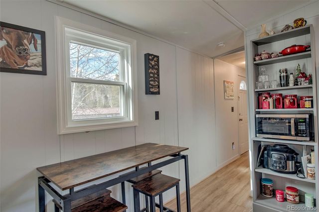 56 Magnum Bonum Drive, Breckenridge, CO 80424