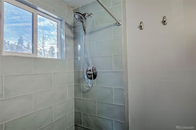 56 Magnum Bonum Drive, Breckenridge, CO 80424