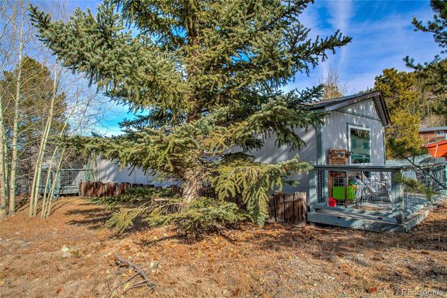 56 Magnum Bonum Drive, Breckenridge, CO 80424