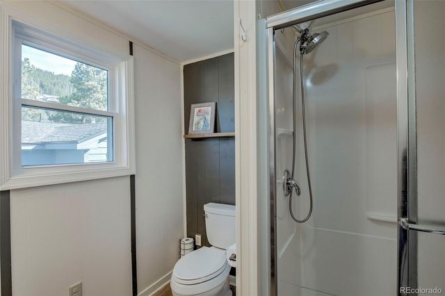 56 Magnum Bonum Drive, Breckenridge, CO 80424