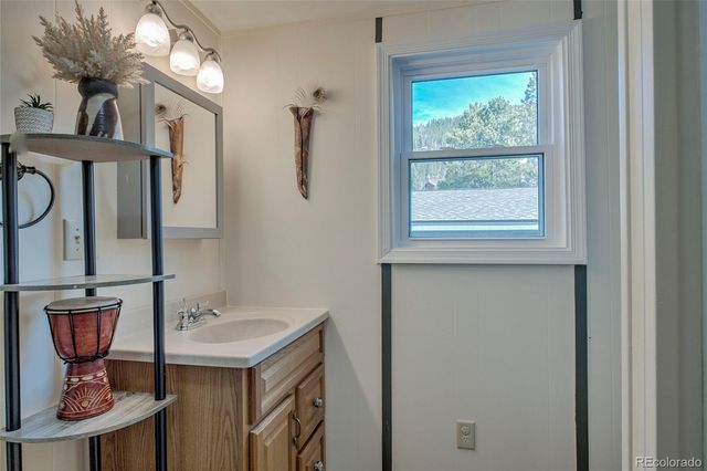 56 Magnum Bonum Drive, Breckenridge, CO 80424