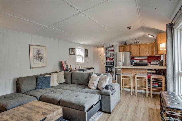 56 Magnum Bonum Drive, Breckenridge, CO 80424