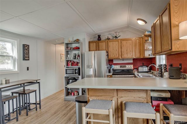 56 Magnum Bonum Drive, Breckenridge, CO 80424