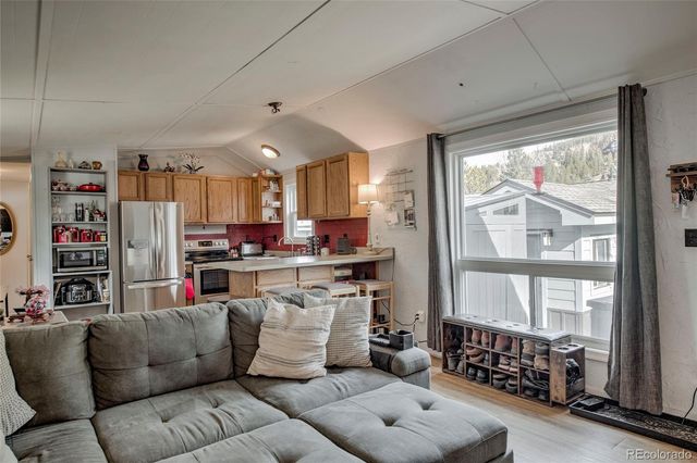 56 Magnum Bonum Drive, Breckenridge, CO 80424