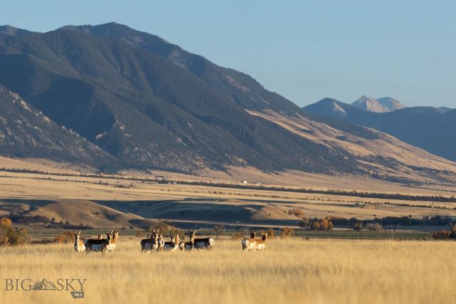 450 Loomis Way B, Ennis, MT 59729