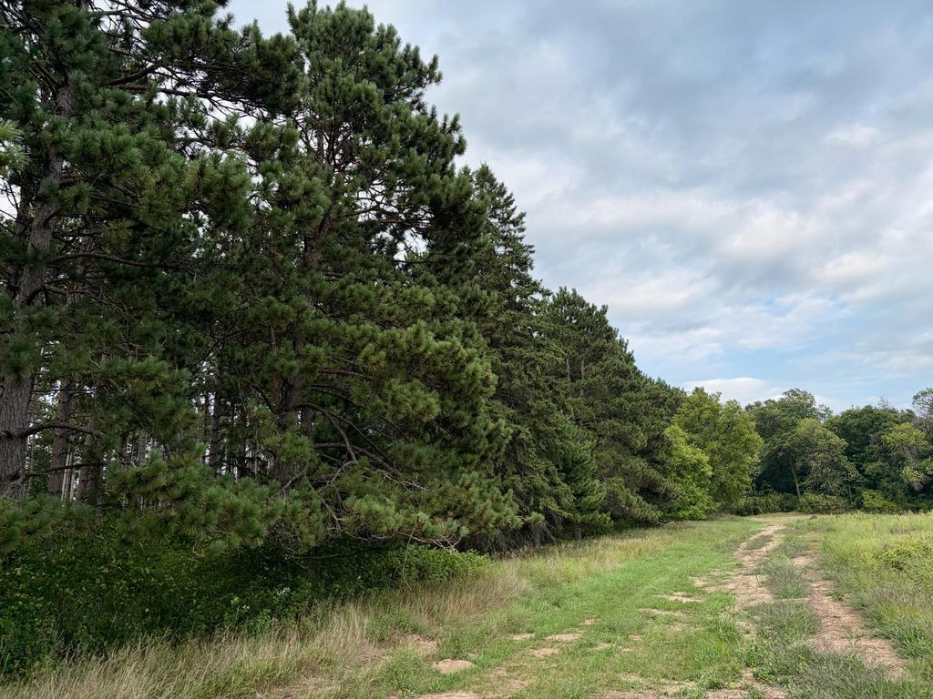 (Lot 2) TBD Tulip Street NW, Stanchfield, MN 55080 — exterior