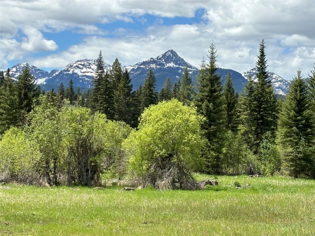 498 LIVING STONE LANE, CONDON, MT 59826, CONDON, MT Clearwater Properties