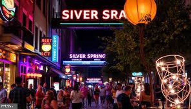 11321 COLLEGE VIEW DR, Silver Spring, MD 20902