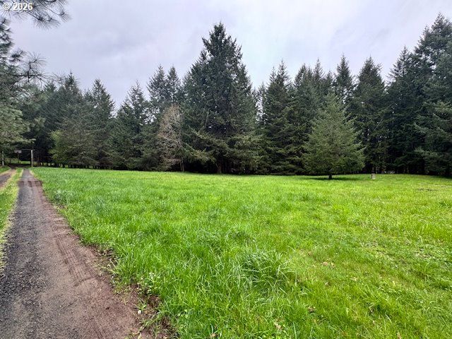 23939 RAZE Rd, Elmira, OR 97437