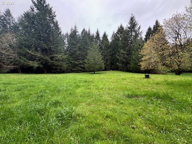 23939 RAZE Rd, Elmira, OR 97437