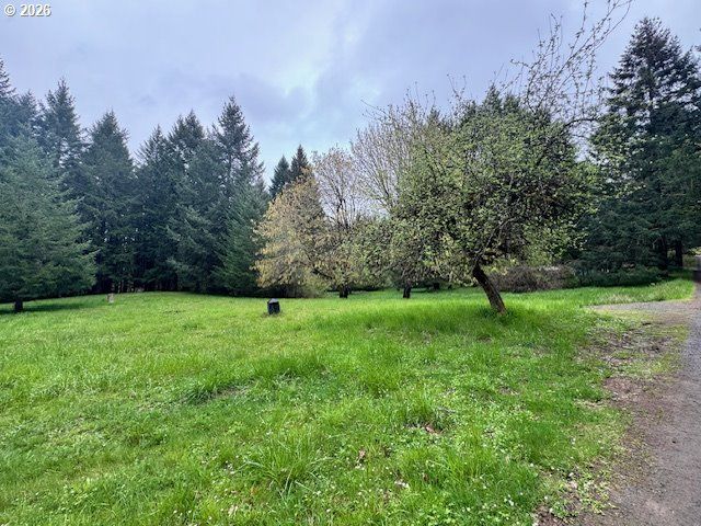 23939 RAZE Rd, Elmira, OR 97437