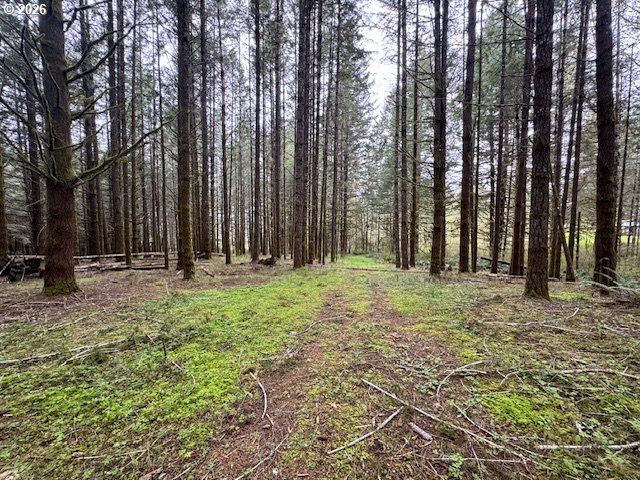 23939 RAZE Rd, Elmira, OR 97437