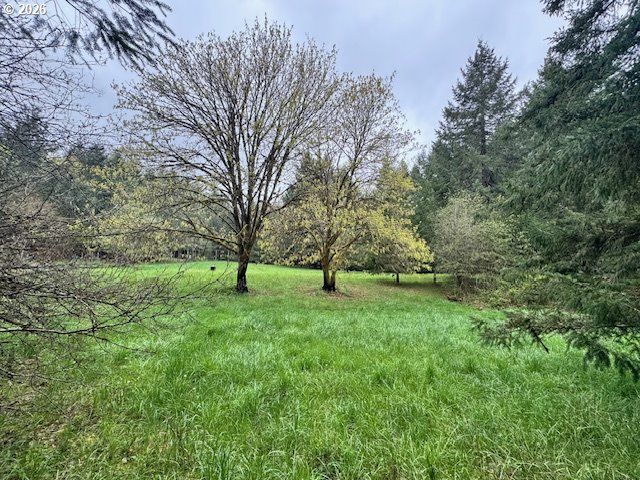 23939 RAZE Rd, Elmira, OR 97437